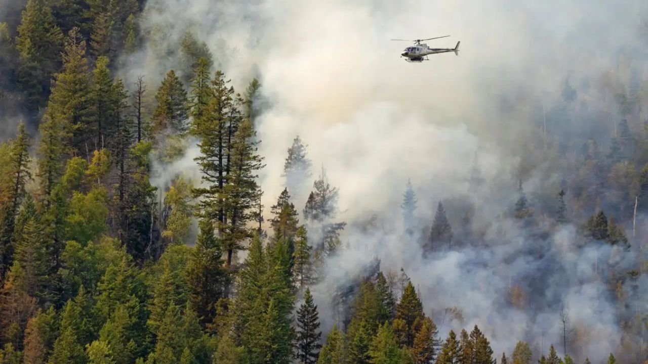 Can Vacuuming Carbon From the Sky Actually Save Our Climate Here's What Experts Say