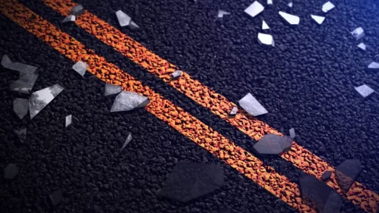 Chesterfield County Driver Dies After Colliding With Fallen Tree on SC 102