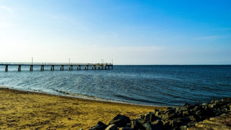 Delaware’s Hidden Beaches That Locals Love — And Tourists Rarely Find