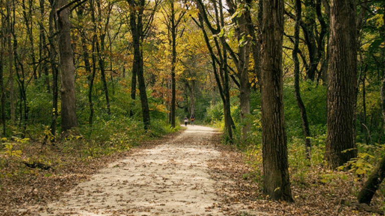 DuPage County Trail Closure: Blackwell Forest Preserve Cenacle Trail to Shut Down Through Late Fall