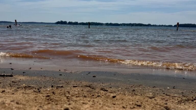 Families Flock to Beatty’s Ford Park Swim Beach for July 4th Fun