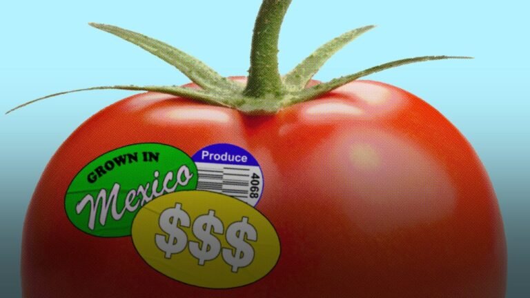 Georgia Tomato Farmers Could Gain Big from New Tariff on Mexican Imports