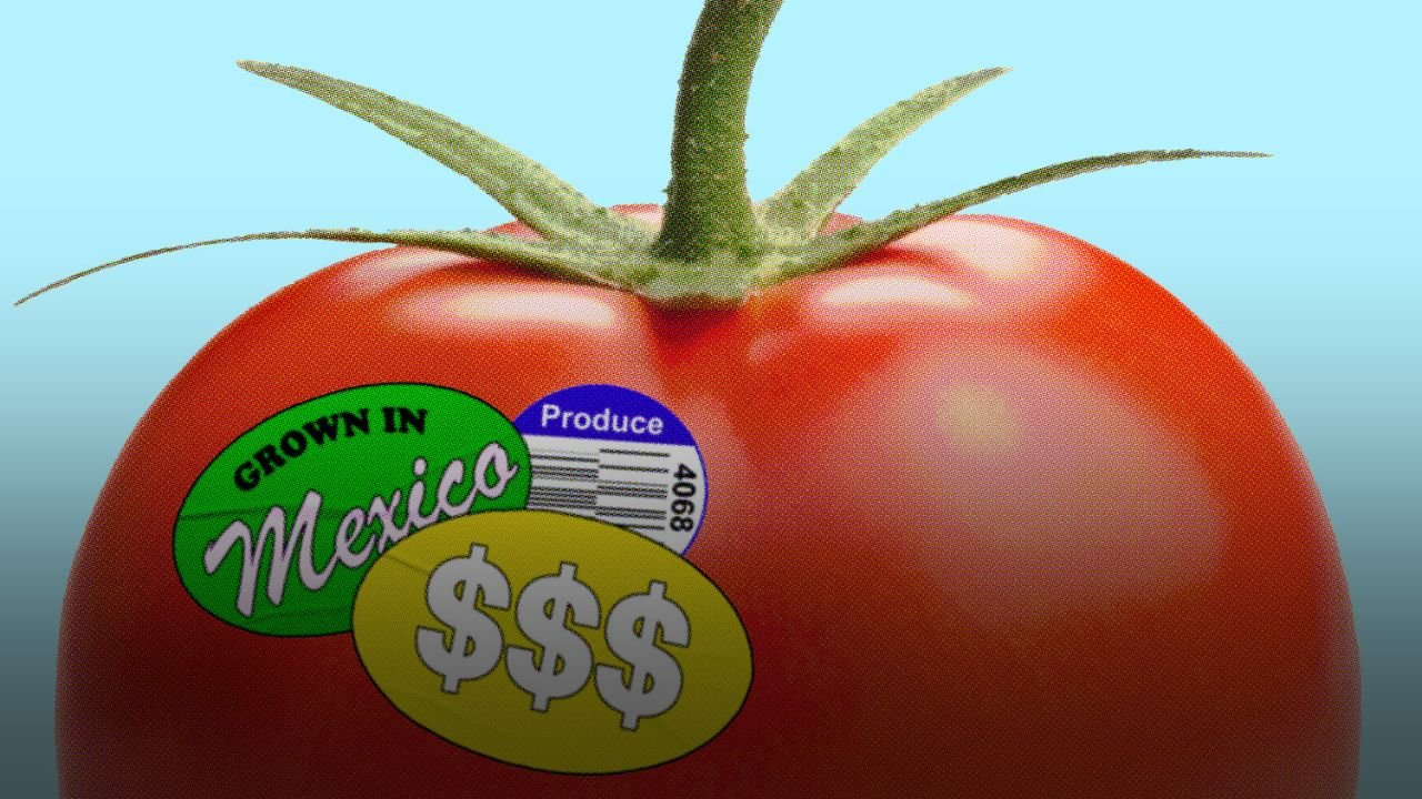 Georgia Tomato Farmers Could Gain Big from New Tariff on Mexican Imports