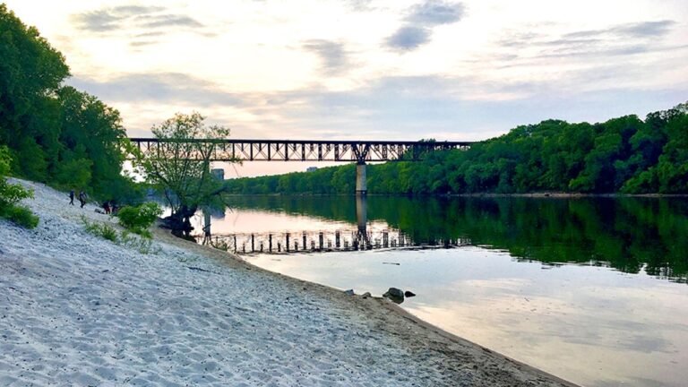 How Safe Is It to Swim in Minnesota’s Mississippi River? Experts Weigh In
