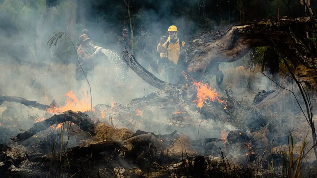 LA Wildfires Fuel Climate Crisis as Experts Warn of Vicious CO₂ Feedback Loop