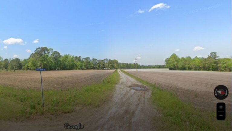 NC Deputies Discover Car Stuck in Mud with Dead Driver, Toddler, and Intoxicated Man