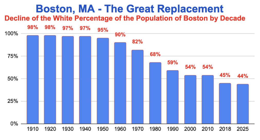 Boston’s White Population Declines to 44% in 2025, Census Trend Shows