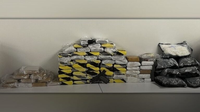 South Carolina Fentanyl Bust: Two Brothers Indicted After State’s Largest Drug Seizure