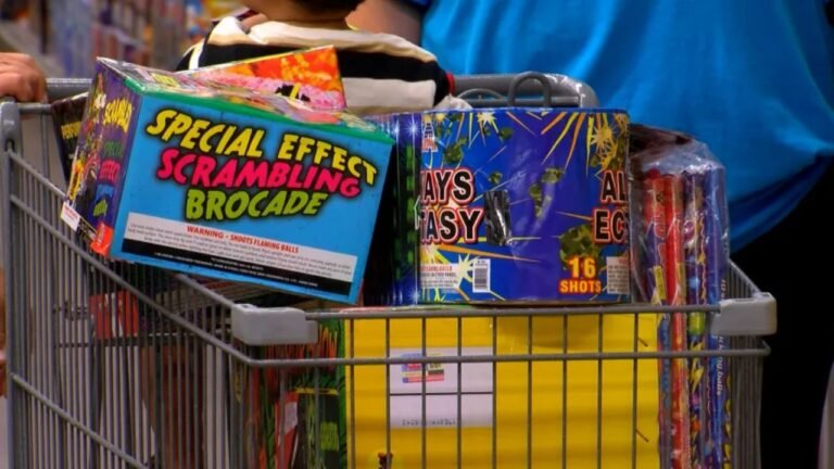 South Carolina Fireworks Buyers Face Higher Prices and Slimmer Shelves This July 4th
