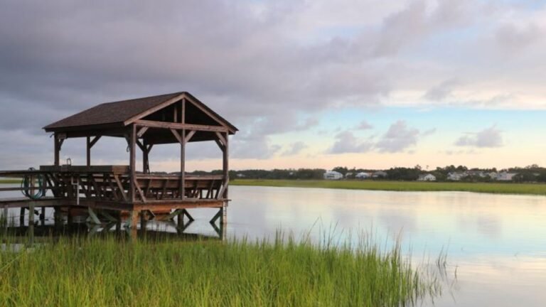 South Carolina’s Hammock Coast Offers Quiet Beaches, Seafood Delights, and Affordable Charm