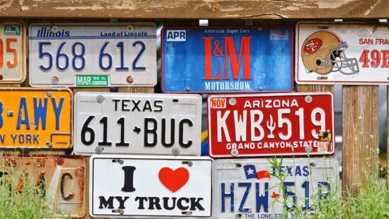 That Decorative License Plate Frame Could Get You Pulled Over in South Carolina