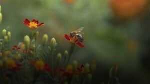 Triple-Digit Heat Driving Pests Indoors Across North Carolina
