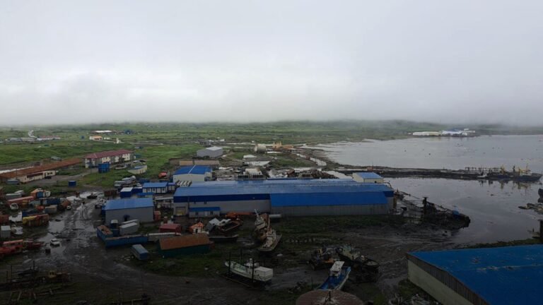 Tsunami Warnings Downgraded Across Pacific After Massive Russian Quake