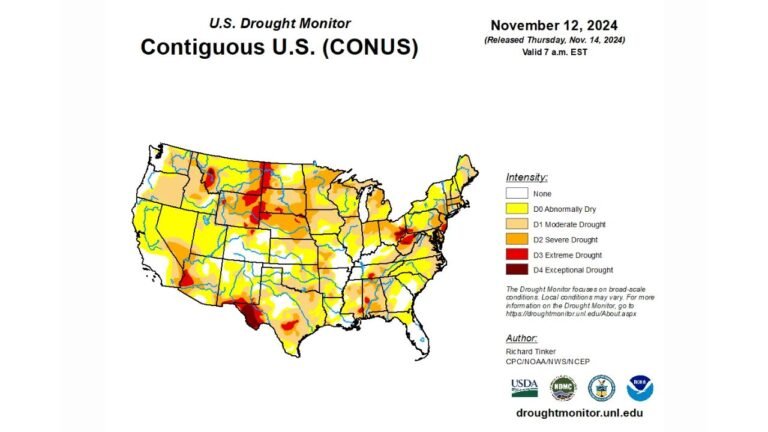 U.S. States Face Worsening Drought Crisis as Rainfall Plummets and Wildfires Spread