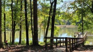 Visiting a South Carolina State Park? Get Ready to Pay More This Summer