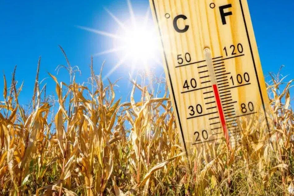 Dangerous Heat Wave to Hit Georgia Early Next Week, NWS Warns Residents to Take Precautions