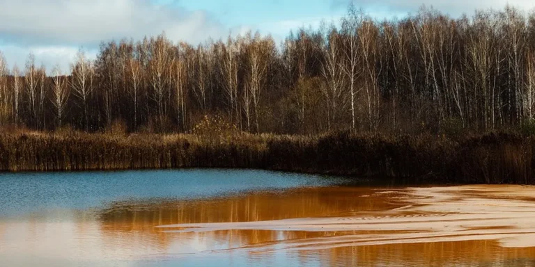 Toxic Discharges from North Carolina Factory Contaminate Drinking Water for Nearly 1 Million Residents