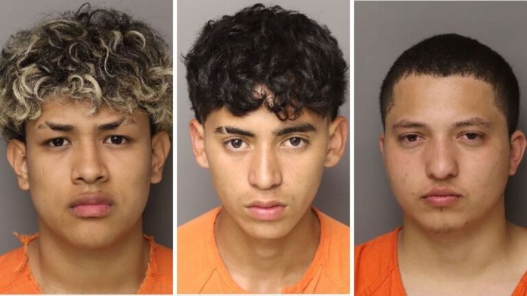 Six Undocumented Immigrants Charged in Lancaster Mother’s Murder