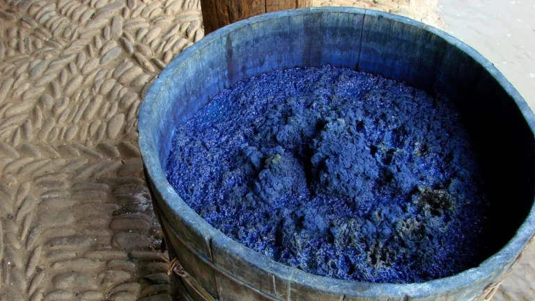 South Carolina’s Forgotten Cash Crop Makes a Comeback: The Revival of Indigo Dye