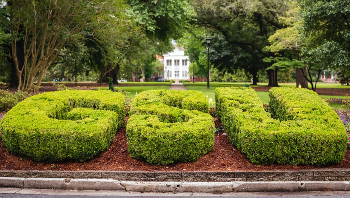 Georgia Southern University’s Online Computer Science Degree Ranked 6th Among Most Affordable in U.S.