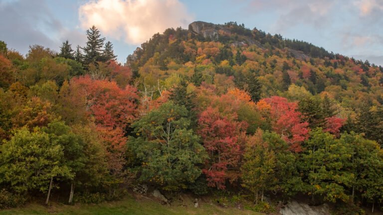 Record-Breaking August Chill Grips Greensboro as Highs Dip to 69 Degrees