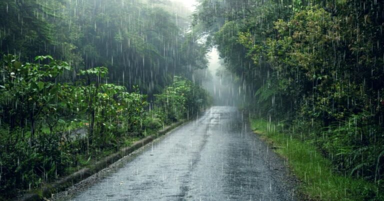 Weather Alert in South Carolina: Heavy Rains and Thunderstorms Expected Saturday