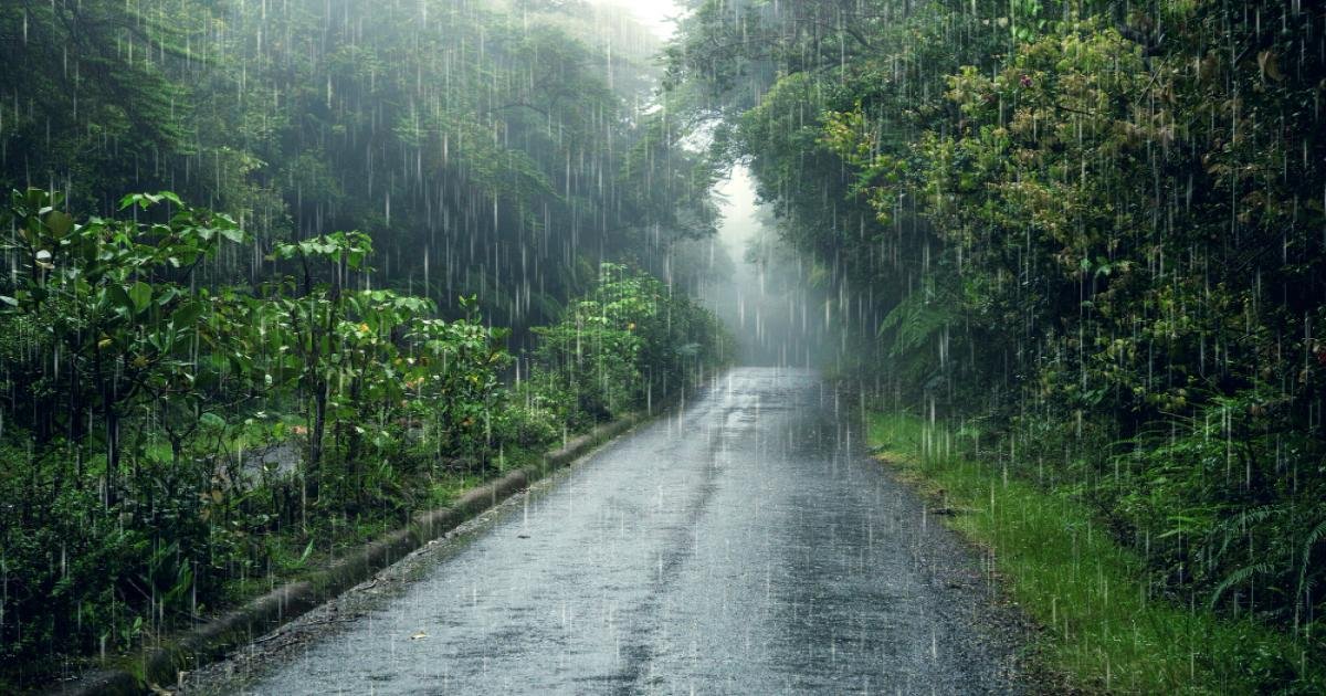 Weather Alert in South Carolina: Heavy Rains and Thunderstorms Expected Saturday