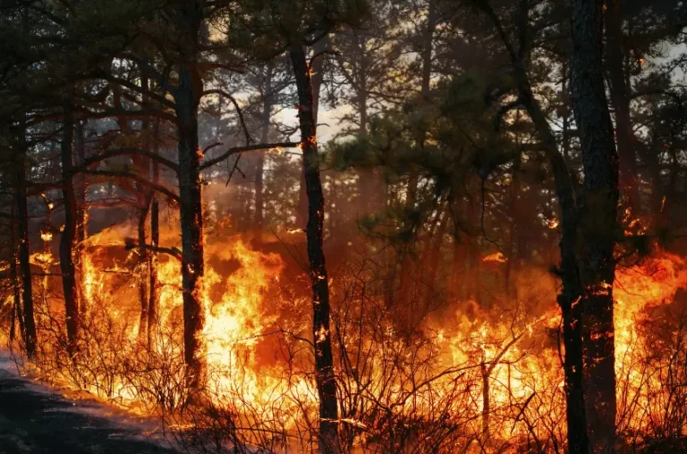 Deadly Flash Floods Strike North Carolina, Wildfires Rage Across Western U.S.