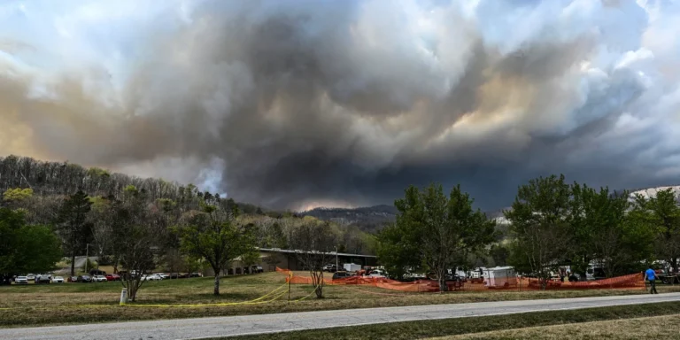 Cigarettes Spark Largest Mountain Wildfire in South Carolina History, Four Arrested