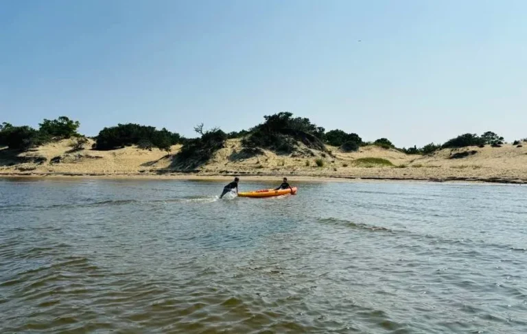 5 North Carolina Beaches and 9 Rivers Declared Unsafe for Swimming Due to Fecal Bacteria