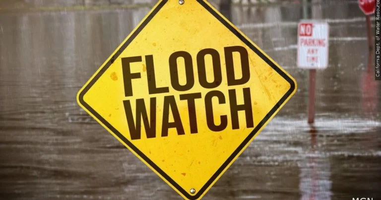 Flood Watch Issued for Multiple South Georgia Counties