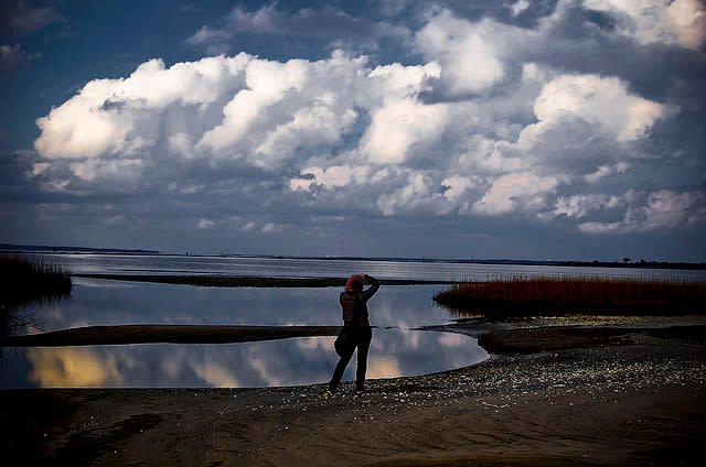 Exploring Zeke’s Island Reserve: One of North Carolina’s Most Unique Coastal Treasures