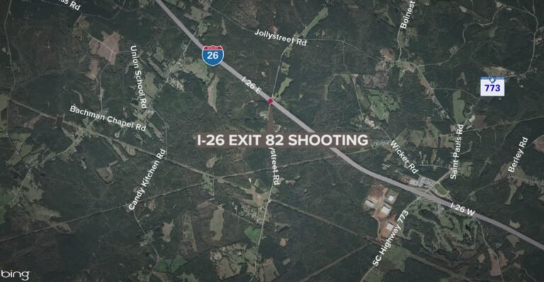Woman Fatally Shot on I-26 in Newberry County, Suspect Apprehended After Standoff