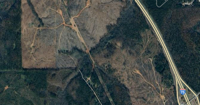 Amazon Acquires Nearly 1,000 Acres Near Atlanta for Potential Data Center Project