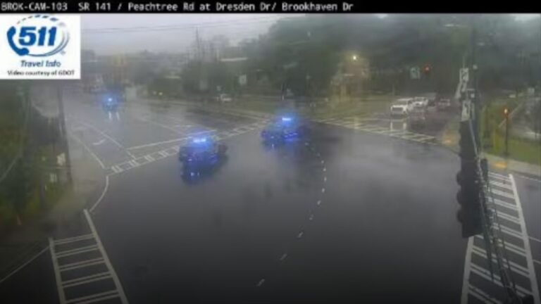 Brookhaven Hit-and-Run: Pedestrian Killed, Driver Still at Large