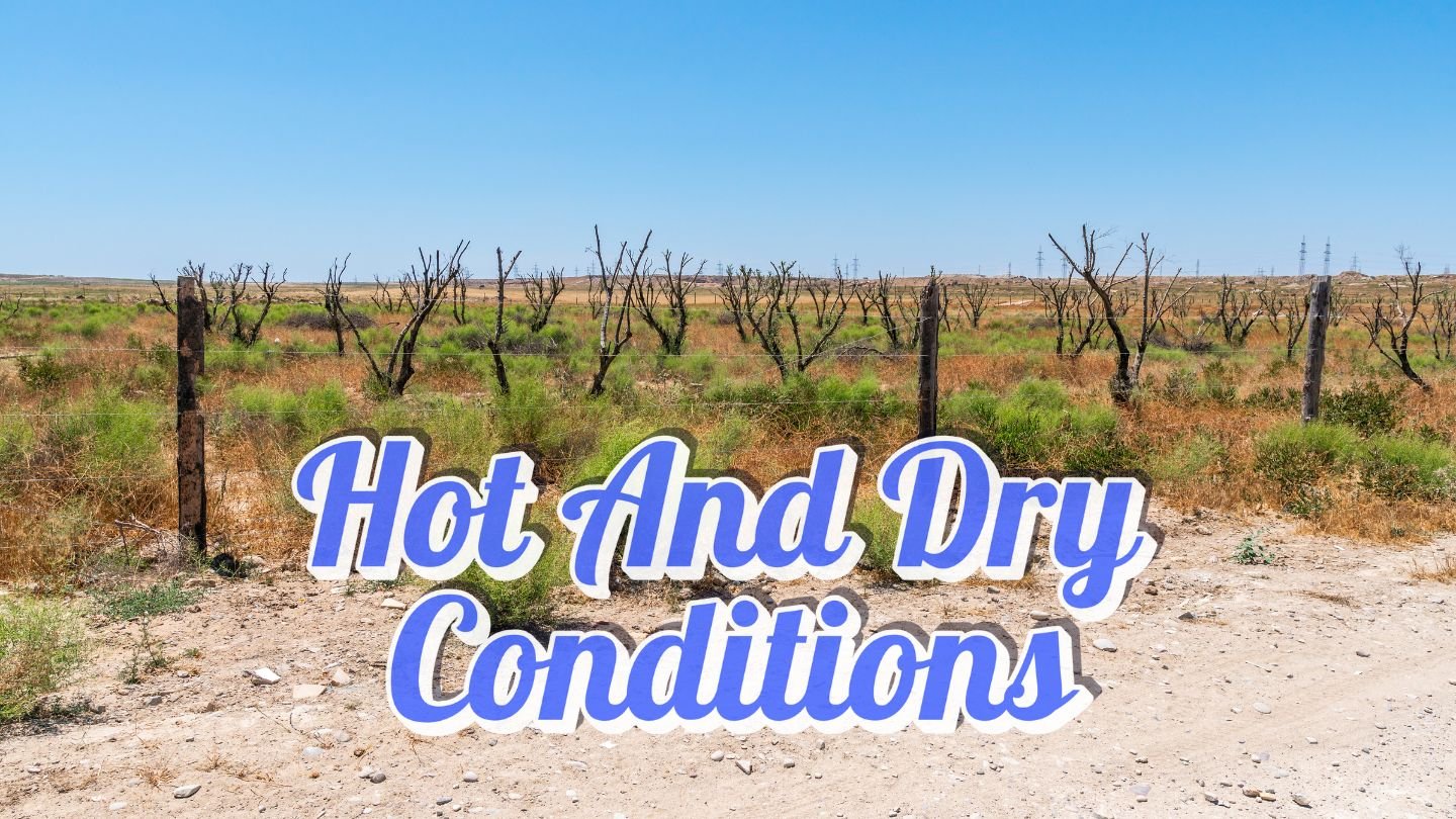 Georgia Weather Forecast: Rainfall on August 27 Followed by Hot, Dry Conditions Through August 29