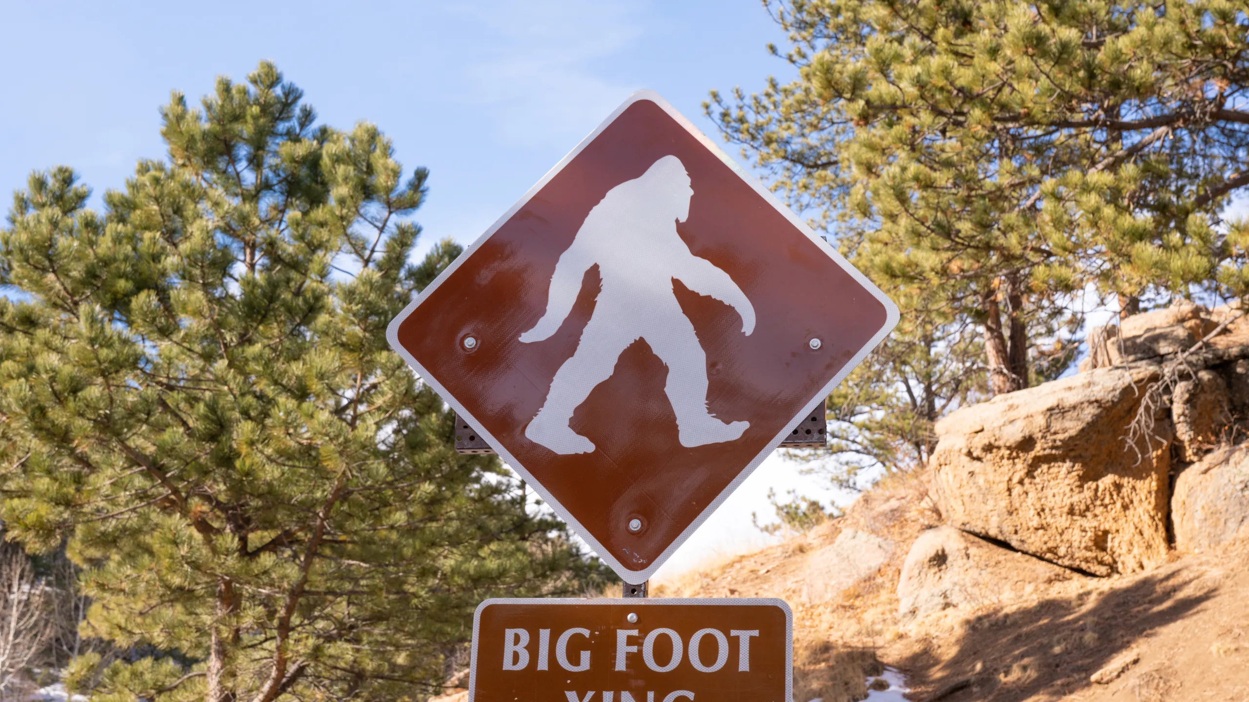 North Carolina Driver Reports Possible Sasquatch Sighting Near State Border