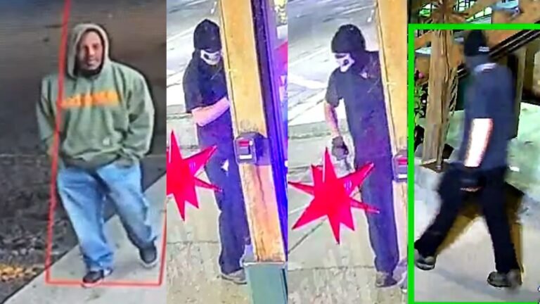 Lansing Police Seek Public’s Help in Vehicle Theft, Property Damage, and Evidence Tampering Cases