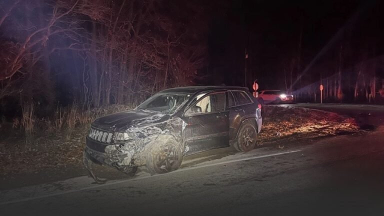Michigan Teen and Elderly Driver Involved in Milton Township Rear-End Crash
