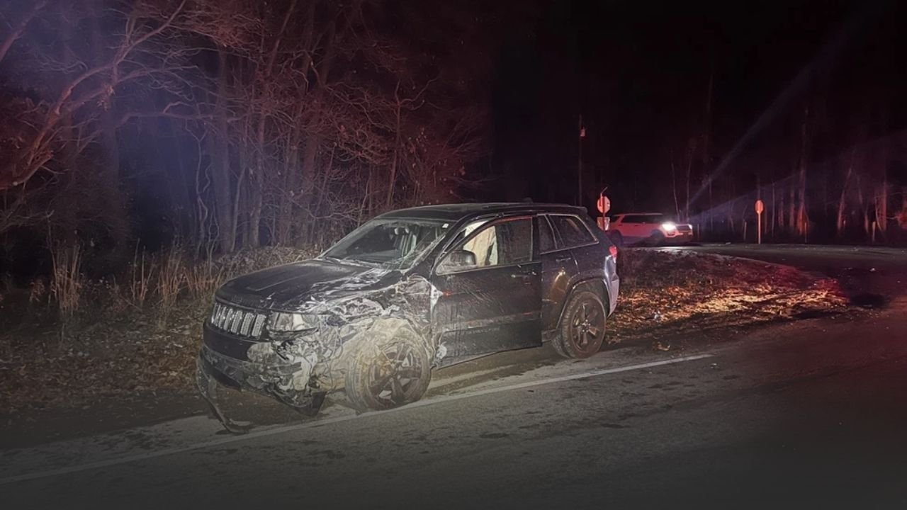 Michigan Teen and Elderly Driver Involved in Milton Township Rear-End Crash