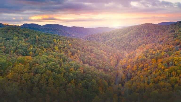North Carolina Fall Foliage 2025: Peak Color Expected in Late October for Mountains, Early November in Piedmont