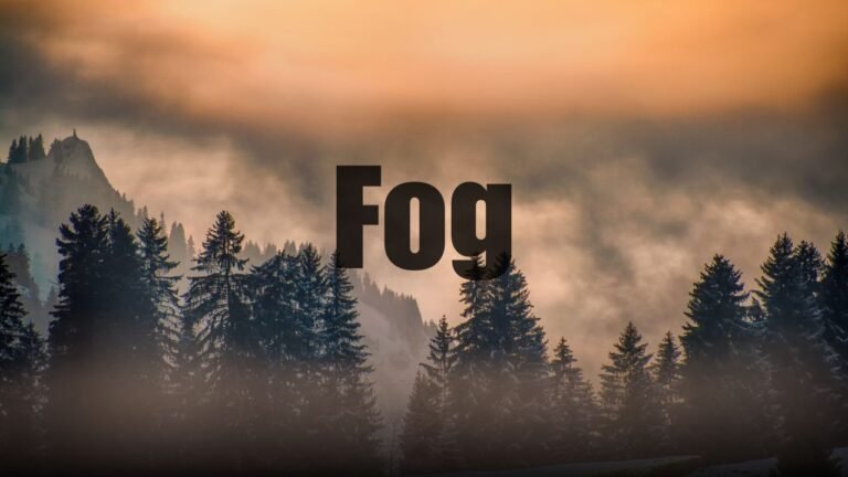 Raleigh Weather Alert: Patchy Fog Reduces Visibility Across Central North Carolina Saturday