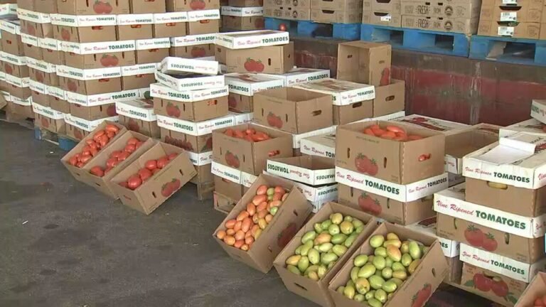 Georgia Unveils 2025 Online Map to Help Residents Find Locally Grown Produce