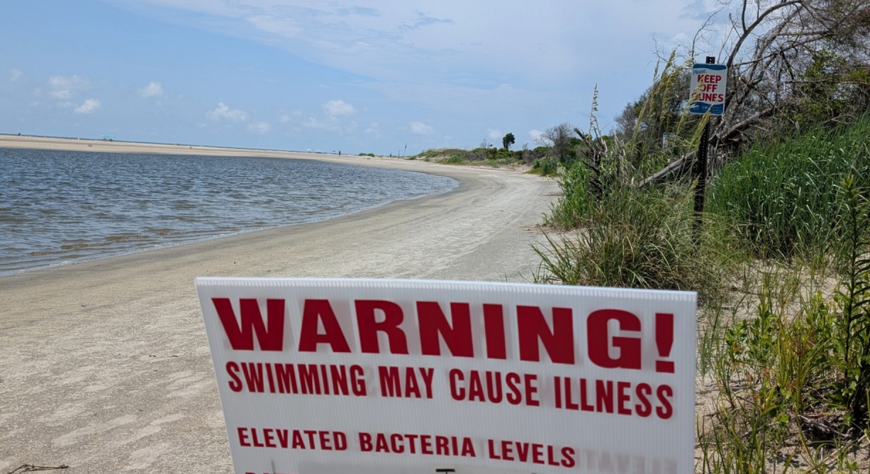 Charleston Experts Warn of Bacteria Risks for Swimmers This Labor Day Weekend