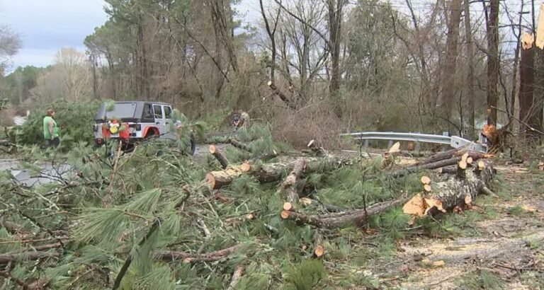 Strong Storms Cause Flooded Roads, Downed Trees Across Metro Atlanta