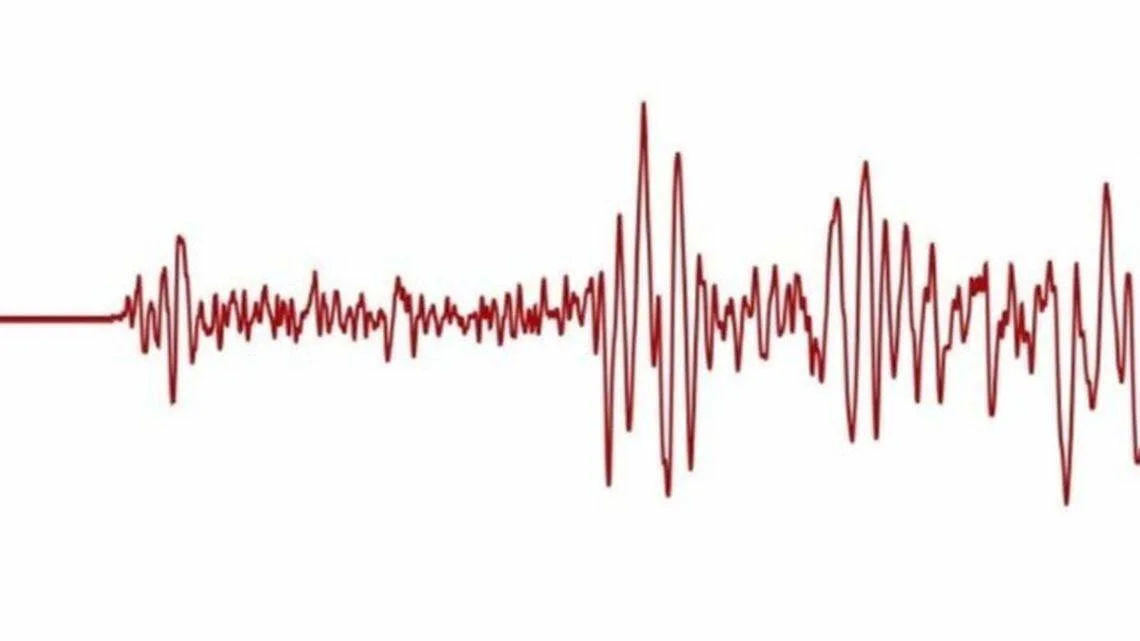 14 Earthquakes Strike South Carolina as Officials Warn of Possible Stronger Tremors Ahead