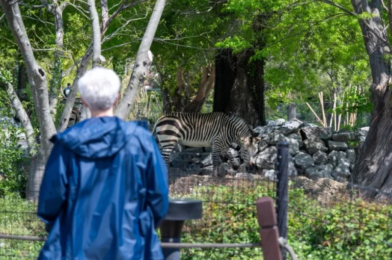 Virginia Zoo Offering Free Admission to Seniors Every Wednesday Through September