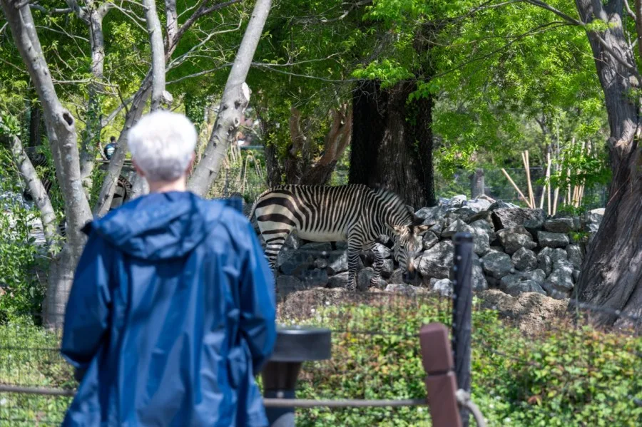 Virginia Zoo Offering Free Admission to Seniors Every Wednesday Through September