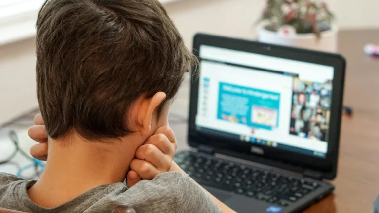Protecting Children in the Digital Age: South Carolina Urge Action Against Online Dangers