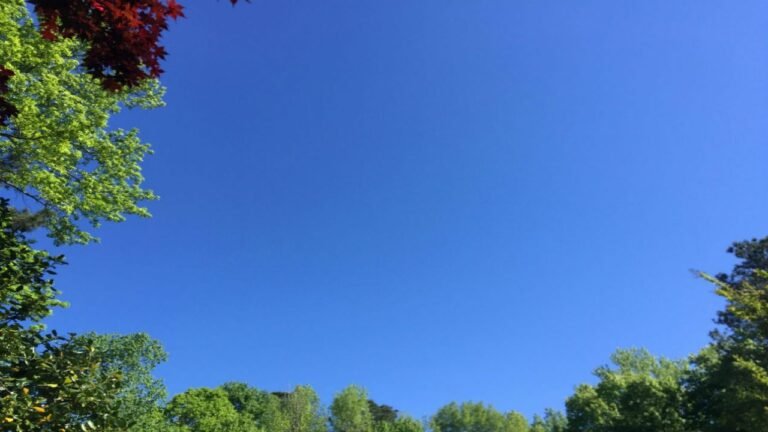 North Carolina Enters Calm Weather Stretch After Brief Flooding